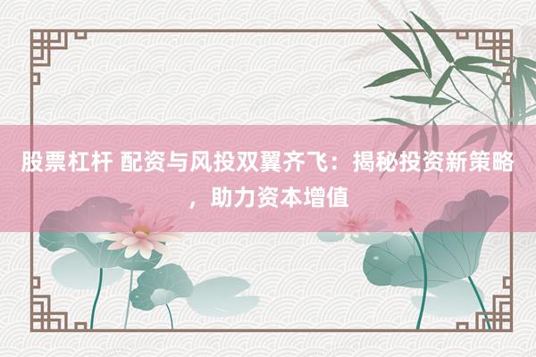 股票杠杆 配资与风投双翼齐飞：揭秘投资新策略，助力资本增值